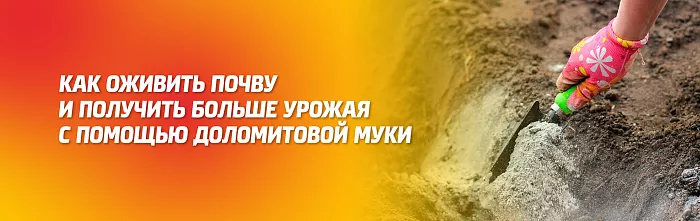 КАК ОЖИВИТЬ ПОЧВУ И ПОЛУЧИТЬ БОЛЬШЕ УРОЖАЯ С ПОМОЩЬЮ ДОЛОМИТОВОЙ МУКИ КАК ОЖИВИТЬ ПОЧВУ И ПОЛУЧИТЬ БОЛЬШЕ УРОЖАЯ С ПОМОЩЬЮ ДОЛОМИТОВОЙ МУКИ