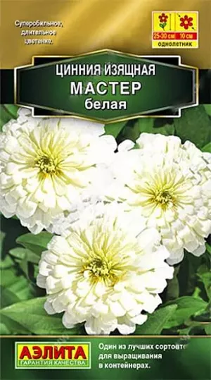 Семена Цинния Мастер белая. Крепкие приземистые кусты 25-30 см. высотой поражают суперобильным, длительным цветением; каждый цветок держится на растении более месяца. Цветки густомахровые, очень крупные – 10 см. Если не знать точно, что перед вами – сорт, то циннии группы МАСТЕР по внешнему виду легко принять за<br>
 гибрид в первом поколении. Растения устойчивы к жаре, хорошо выдерживают самые высокие температуры. <br>
 <br>
 Один из лучших сортов для горшечного выращивания на солнечных балконах и террасах. В садовых цветниках подходит для бордюров, переднего края смешанных цветников и посадок сплошными массивами. Сорт будет интересен для озеленителей – профессионалов.<br>
 <br>
 <br>
  Циннии – растения теплолюбивые, быстрорастущие, относительно засухоустойчивые. Предпочитают солнечные участки с дренированными почвами среднего плодородия, нейтральной кислотности. В южных регионах возможен безрассадный способ выращивания.<br>
 <br>
 <br>
 <br>
 <br>
