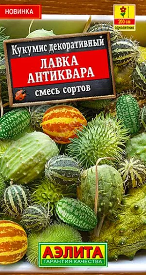 Кукумис декоративный Лавка антиквара из каталога Разные Семена Кукумис декоративный Лавка антиквара.Необыкновенная смесь декоративных кукумисов для выращивания в открытом грунте, на балконах, террасах и в контейнерах. Может использоваться как почвопокровная культура. Мощные, цепкие растения быстро развиваются и зацветают, эффектно обвивая вертикальные опоры (перголы, беседки, навесы и пр.). Высота густооблиственных побегов достигает 2 м. Под пологом изумрудных листьев и обилием желтых цветков хорошо спасаться от летнего зноя. Смесь включает сорта с самыми разными формами и размерами плодов. При созревании они не только украсят саму лиану, но и послужат ярким элементом декора в дальнейшем.<br>
Возможно вырастить 20-25-дневную рассаду или использовать для посева пророщенные семена. Посевы (посадки) размещают на плодородных, рыхлых почвах с нейтральной кислотностью. Рекомендуются регулярные поливы теплой водой.<br>
<br>
<br>
<br>
<br>