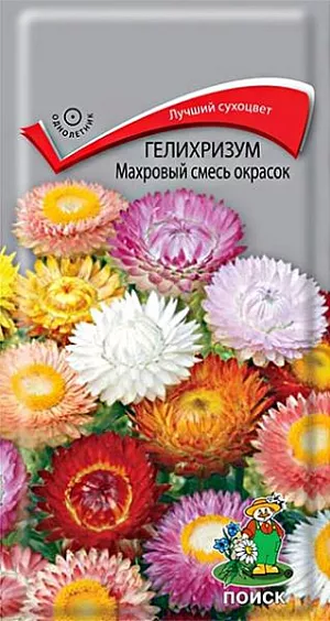 Семена Гелихризум Махровый смесь окрасок из каталога Гелихризум Семена Гелихризум Махровый смесь. На каждом растении образуется около 25 махровых соцветий диаметром 5 см. Высота 100 см. Используют для клумб, рабаток, на срезку. Великолепный сухоцвет, незаменим для зимних букетов.<br>
<br>
Агротехника. Растение предпочитает открытые солнечные места и легкие питательные почвы. Размножают посевом семян в конце марта - начале апреля. Глубина заделки семян 0,5-1 см. При температуре почвы +18°С всходы появляются через 10-15 дней. Сеянцы содержат при умеренной температуре. Высаживают в открытый грунт в конце мая - начале июня (когда минует угроза поздневесенних заморозков). Расстояние при посадке 25-30 см.