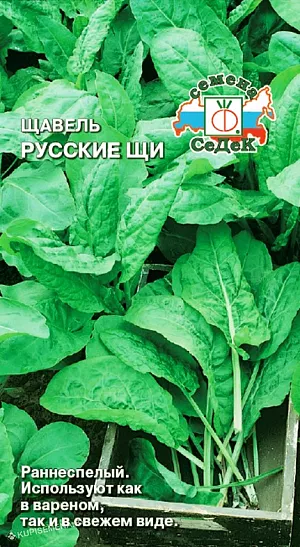 Щавель Русские Щи Щавель Русские Щи