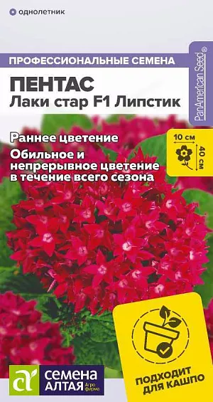 Пентас ланцетовидный Лаки стар F1 Липстик из каталога Разные Семена Пентас ланцетовидный Лаки стар F1 Липстик
Обильно и непрерывно цветущее однолетнее растение. Соцветия крупные, состоят из миниатюрных пурпурно-красных цветков, сохраняют декоративность на растении до 7-10 дней. Рано вступает в период цветения. Кустики компактные, сохраняют аккуратную форму в течение всего периода вегетации. Хорошо подходит для массовых посадок в открытом грунте, можно выращивать в контейнерах и вазонах, растения не требуют большого объема грунта.
Высота растения: 30-40 см
Ширина растения: 30-35 см
Диаметр соцветия: 7-10 см