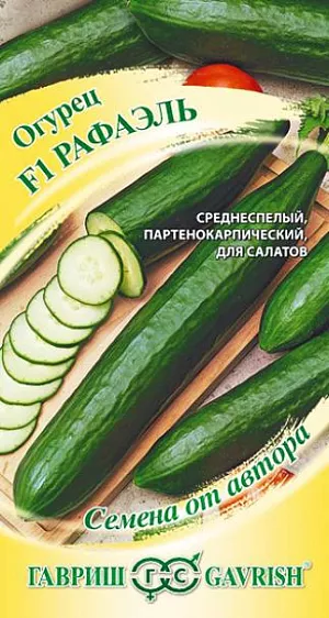 Семена Огурец Рафаэль F1