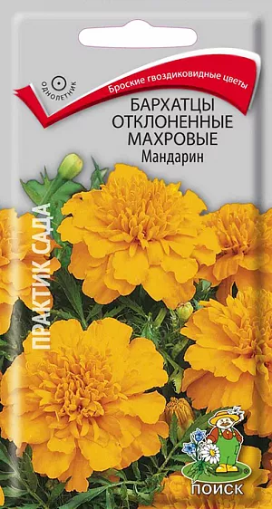 Семена Бархатцы Мандарин Отклоненные махровые.
Бархатцы отклоненные махровые Мандарин - броские яркие соцветия. Серия Бонита. Куст шаровидный, густоветвистый, высотой 22-25 см. Соцветия гвоздиковидные, махровые, из одних темно-оранжевых язычковых цветков. Цветет с июля по октябрь. Используют для клумб, рабаток, бордюров и украшения балконов.