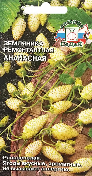 Семена Земляника (клубника) Ананасная ремонтантная Семена Земляника (клубника) Ананасная ремонтантная