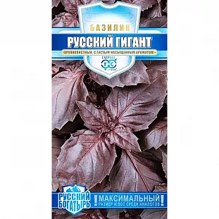 Семена Базилик фиолетовый Русский гигант Семена Базилик фиолетовый Русский гигант