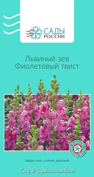 Семена Львиный зев Фиолетовый твист 15шт из каталога Львиный зев Львиный зев Фиолетовый твист
Яркий, ни с чем не сравнимый красавец с многочисленными прочными побегами, несущими эффектные стройные кистевидные соцветия "цветков-собачек". Сеянцы растут медленно. Полив производить умеренно в утреннее время. Посадка осуществляется в хорошо увлажненный грунт. Теплолюбивый и холодостойкий. Рассаду высаживают в грунт после того, как минует угроза возвратных заморозков.
