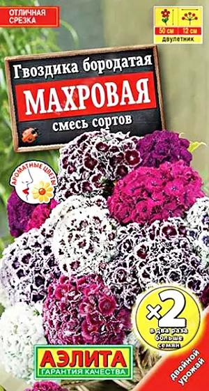 Семена Гвоздика махровая смесь окрасок Турецкая.
Привлекательная смесь с необычными, махровыми цветками в плотных соцветиях ø 10-12 см. Цветки ароматные, яркие, есть сорта с глазком и каймой. Растения высотой 50 см, хорошо кустящиеся. Стебли узловатые, очень прочные, что позволяет с успехом использовать смесь для срезки. Рекомендуется для оформления клумб вблизи мест отдыха, бордюров вдоль дорожек. Растения зимостойкие, относительно засухоустойчивые. Предпочитают солнечные участки с легкими плодородными, хорошо дренированными почвами. Выдерживают легкое затенение. Агротехника. Посев семян в открытый грунт в конце весны. Сеянцы в фазе 2-3 пар настоящих листьев прореживают. В первый год растения формируют розетки листьев, цветут на второй год. Необходимы регулярные поливы, прополки, рыхления и подкормки.