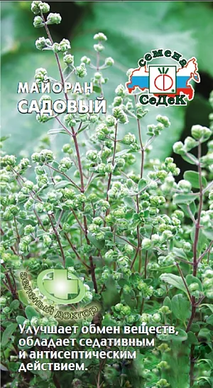 Майоран Садовый
