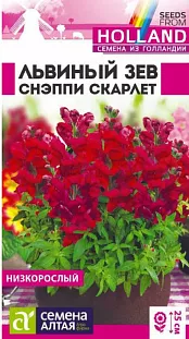 Семена Львиный зев Снэппи Скарлет Семена Львиный зев Снэппи Скарлет