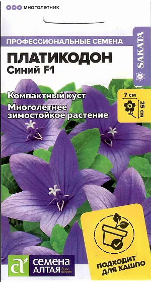 Семена Платикодон Синий F1 махровый.<br>
 <br>
 Лучшая серия низкорослых платикодонов.<br>
 <br>
 Компактное, выровненное по габитусу многолетнее растение, с превосходным ветвлением от основания. Цветки синей или сине-фиолетовой окраски большие, звездчатообразные, махровые. Цветет непрерывно весь сезон. Отлично смотрится в продольных цветниках и групповых посадках. Также можно выращивать в качестве комнатного растения. Предпочитает открытые солнечные места, но выносит и полутень. Не переносит застоя воды.<br>
 <br>
Семена высевают в феврале-апреле в цветочные ящики с рыхлым субстратом. Сеют поверхностно, слегка присыпая землей. Субстрат предварительно хорошо увлажняют. Посевы накрывают стеклом. Температура для прорастания - 20-22 градуса. Всходы появляются на 8-10 день, после чего стекло убирают. Продолжают выращивать на свету, избегая попадания прямых солнечных лучей. Подросшие растения пикируют в ящики или горшки на 5-7 см друг от друга. Рассаду высаживают в открытый грунт в начале лета, оставляя 15-20 см между растениями. Перед зимовкой растение нужно полностью срезать.