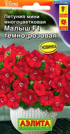 Семена Петуния мини Малыш F1 темно-розовая из каталога Петуния Семена Петуния мини Малыш F1 темно-розовая. Листвы почти не видно! Высаженные на постоянное место растения быстро образуют ветвистые компактные кустики диаметром 25-30 см. Множество ярких цветов-граммофончиков диаметром 4-5 см в течение всего сезона будут украшать ваши цветники и рабатки, балконные ящики и вазоны. Петунии лучше всего растут в рыхлой, питательной и влагоемкой почве. Периодические подкормки комплексным удобрением делают цветение более обильным. Центр куста не оголяется и растение не нуждается в формировании и прищипке. Гибрид устойчив к наиболее распространенным болезням культуры.