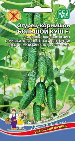 Семена Огурец Большой куш F1 Семена Огурец Большой куш F1