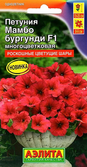Семена Петуния Мамбо Бургунди F1 из каталога Петуния Семена Петуния Мамбо Бургунди F1.<br>
Ценная серия генетически низкорослых, обильно цветущих гибридов. Высота взрослых растений от 15 см (в горшках) до 25 см (о/г). Применять регуляторы роста не нужно. Компактные кусты цветут парадоксально крупными для карликов цветками диаметром 8-9 см и выглядят роскошными цветущими шарами. Декоративность серии не страдает в ненастную погоду. Кустики стабильно сохраняют привлекательный вид, не вытягиваются. Серия пригодна для воплощения любых дизайнерских проектов при оформлении цветников открытого грунта, балконов, патио, уличных контейнеров.<br>
