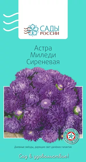 Астра Миледи Сиреневая 0,2гр из каталога Астра Астра Миледи Сиреневая
Карликовая астра с крупными махровыми хризантемовидными соцветиями около 10 см в диаметре. Куст компактный сильноветвистый. Окраска соцветий сиреневая. Холодостойка, выносит слабые заморозки до −3 °С.