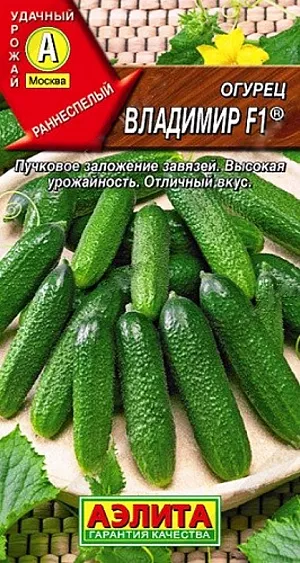 Семена Огурец Владимир F1 Семена Огурец Владимир F1