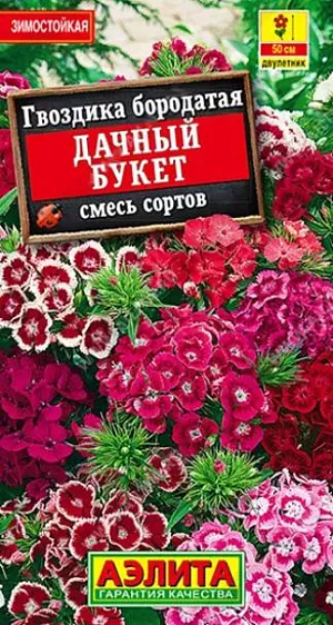 Семена гвоздика турецкая Дачный букет,смесь. Популярный неприхотливый двулетник с пышным и длительным цветением. Зацветает на 2-3 недели раньше остальных сор тов. В первый год образует прикорневые розетки листьев, над которыми в следующем сезоне появляются многочисленные цветоносы высотой 40-50 см. Яркие цветки с нежным ароматом собраны в крупные, эффектные соцветия. Смесь рекомендуется для оформления цветников и срезку в букеты.<br>
 <br>
 Растения неприхотливые, засухоустойчивые и зимостойкие. Хорошо растут на солнечных участках и в легкой полутени. Предпочитают легкие, хорошо дренированные почвы среднего плодородия. Растения с понравившейся расцветкой в дальнейшем можно размножать укоренением прикорневых розеток.<br>