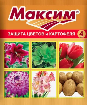 Максим