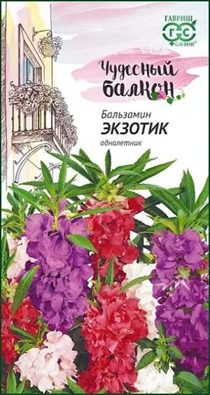 Семена Бальзамин Экзотик карликовый из каталога Бальзамин Семена Бальзамин Экзотик карликовый.
Эта супернизкорослая смесь предпочтительна для окон и балконов северо-восточной и северо-западной экспозиции.
Ценится за неприхотливость, компактный габитус и активное цветение при недостаточной освещенности.
Кустики широкие, высотой 18-20 см, с яркими цветками. Листья ланцетные, пильчатые.
Цветки до 4 см., различных оттенков от розового до лилово-фиолетового. Цвете с июня до заморозков.
Теплолюбив, хорошо растет на плодородных почвах. Посев семян производят в марте-апреле. На балкон растения выставляют в середине мая.
Ранняя многократная прищипка обеспечит обильное цветение. Оптимальная для прорастания семян температура почвы 22-24°С