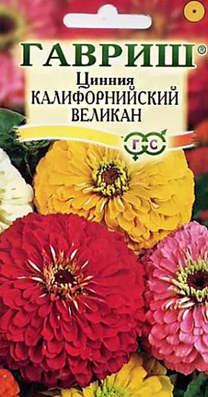 Семена Цинния Калифорнийский Великан.
Неприхотливое однолетнее растение семейства Сложноцветные высотой до 70 см. 
Плотные, похожие на георгины, розовые цветки сидят на прямых прочных стеблях.
Цинии светолюбивы, очень засухоустойчивы, но боятся заморозков. Высевают в апреле в ящики или в открытый грунт в мае, но цветение при этом наступает позже. 
В начале июня высаживают на расстоянии 20х30 см. Цветет с середины июня и до заморозков. Очень декоративна массивами и группами на газоне, используется для посадки на сборные цветники, рабатки, а также на срез для букетов. Неприхотливость, простота ухода, дружные всходы, долгое цветение в сочетании с разнообразием цвета и размера делают цинию весьма привлекательной для начинающих цветоводов.