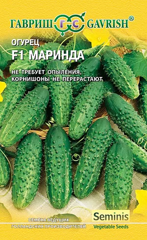 Семена Огурец Маринда F1 Семена Огурец Маринда F1