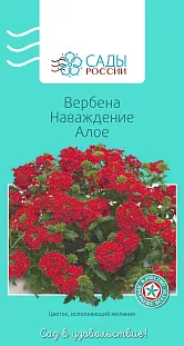 Семена Вербена Наваждение алое 5шт