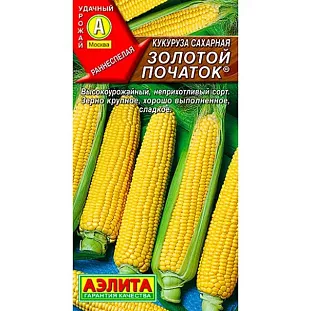 Семена Кукуруза сахарная Золотой початок