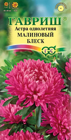 Семена Астра Малиновый блеск<br>
 <br>
 Растение высотой 45-50 см. Куст компактный, обратнопирамидальный. Соцветия махровые, очень изящные, диаметром 8 см, малиновой окраски. Для выращивания подходят хорошо освещенные участки с плодородной суглинистой или супесчаной почвой. Астры обладают высокой холодостойкостью – хорошо переносят заморозки до -3-4°C. Выращивают, чаще всего, рассадным способом. Используются для получения срезки и оформления участка.<br>