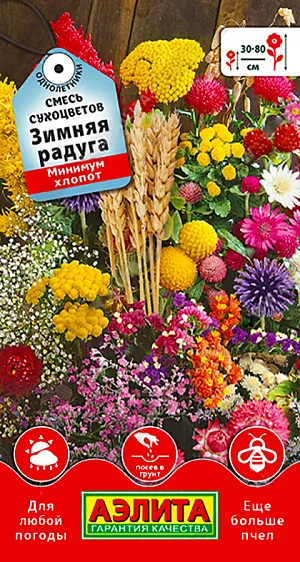 <div>
 Семена Смесь сухоцветов Зимняя радуга.
</div>
 Зимняя радуга – это смесь неприхотливых цветочных культур из группы сухоцветов, которые не требуют особенного ухода и условий выращивания, но при этом неповторимо красивы как в цветнике, так и в букете. Для составления сухих композиций растения необходимо срезать в разгар цветения и высушивать в темном помещении цветоносами вниз. Для дальнейшего поддержания цвета и формы можно использовать специальный лак. В дождливые осенние дни и хмурые зимние месяцы яркий пышный букет из су- хоцветов создаст солнечную атмосферу летнего сада.<br>
 Состав смеси: гелиптерум, гелихризум, гипсофила изящная, краспедия, ксерантемум, роданте, статица, целозия и другие. Оптимальная норма посева: 2-3 г/м2<br>