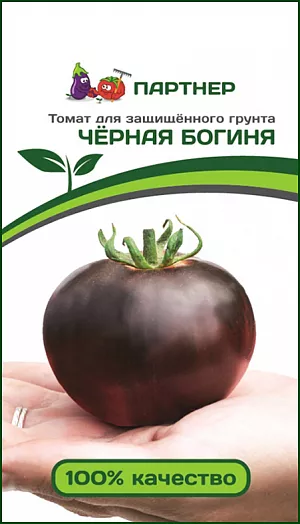 Семена Томат Черная богиня Семена Томат Черная богиня