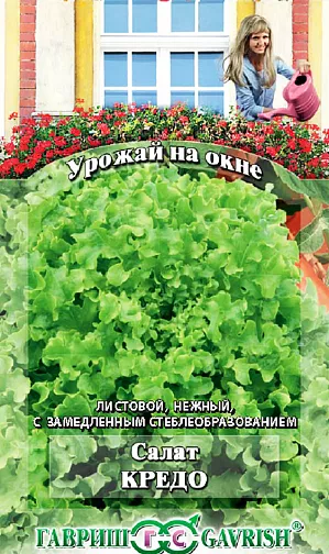 Семена Салат Кредо Семена Салат Кредо