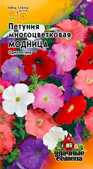 Семена Петуния Модница многоцветковая.<br>
Привлекательная смесь сортов высотой 30-50 см. Рекомендуется для оформления цветников, среднерослых бордюров, цветущих массивов на газонах. Цветки разнообразной окраски, 5,5-6,5 см в диаметре с гладким краем лепестков. Петуния светолюбива и достаточно засухоустойчива. Предпочитает легкие, плодородные, хорошо дренированные почвы. Растения быстро восстанавливают декоративность после сильного дождя. Для более пышного цветения завядшие цветки удаляют.