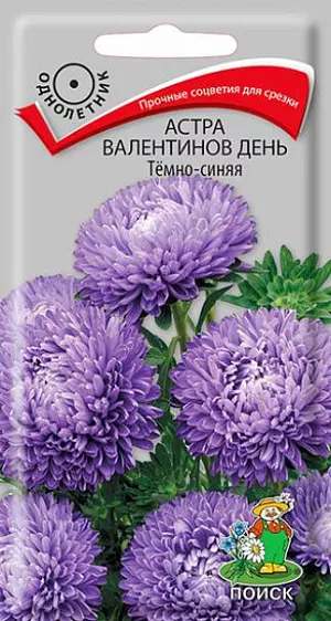 Семена Астра Валентинов день Тёмно-синяя. Прочные, устойчивые к непогоде кусты. Растение высотой 60 см. Соцветия прочные, синего цвета. Цветет обильно с июля до морозов. Используют в сборных цветниках, на рабатках, для срезки.<br>
 Агротехника. Растение предпочитает открытое солнечное место, но выносит и полутень. Лучше растет на легких, плодородных почвах. Не переносит внесения органических удобрений в год посадки.<br>
Семена высевают с середины февраля по апрель. Глубина заделки семян 0,5 см. При температуре +20°C всходы появляются на 7-14 день. Через 3-4 недели посевы пикируют и выращивают при температуре 12-15°C. В грунт рассаду высаживают во второй половине мая, расстояние между растениями 20 см.