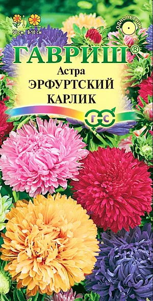 Семена Астра Эрфуртский Карлик из каталога Астра Семена Астра Эрфуртский Карлик.
Растение высотой до 30 см. Соцветия темно-синей, огненно-красной, голубой, карминно-красной, нежно-розовой и белой окраски, 8-10 см в диаметре.
Для выращивания подходят хорошо освещенные участки с плодородной суглинистой или супесчаной почвой.
Астры обладают высокой холодостойкостью - хорошо переносят заморозки до -3-4 С.
Выращивают, чаще всего, рассадным способом. Семена высевают в марте-апреле, пикируют с развитием первой пары настоящих листочков по схеме 5х5 см, в открытый грунт рассаду высаживают с середины мая до начала июня. Возможен подзимний посев астр: в конце октября на глубину 5-8 см. Сверху посевы мульчируют торфом или опилками на высоту 3-5 см. Весной (в конце марта-начале апреля) посевы раскрывают. появившиеся в конце апреля всходы будут закаленными, а выросшие растения сильными, устойчивыми к заморозкам и обильно цвести.
Используются для получения срезки и оформления участка.