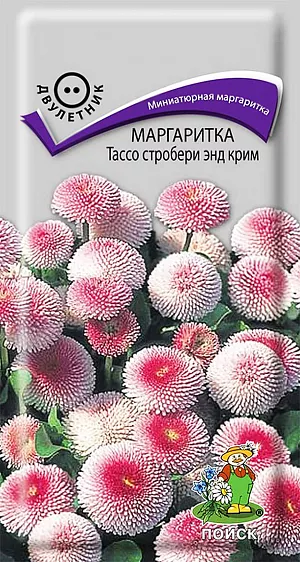 Семена Маргаритка Тассо стробери энд крим.
Маргаритка: растение многолетнее, культивируемое как двулетнее, 10 - 30 см высотой. Листья продолговато-яйцевидные, собраны в прикорневую розетку, которая развивается в первый год после посева. Цветоносы многочисленные, безлистные, щетинисто-опушенные, 15 - 30 см высотой, вырастают на второй год. Соцветия — корзинки, белые, розовые или красные, 3 - 8 см в диаметре, с крупными язычковыми или трубчатыми цветками, расположенными по периферии, и мелкими трубчатыми, золотисто-желтыми — в центре. Листья и бутоны, заложенные с осени, хорошо сохраняются под снегом, и маргаритки зацветают уже в начале мая. Обильнее всего они цветут весной и в первой половине лета, но при влажной и прохладной погоде бутоны раскрываются до холодов.
Тассо стробери энд крим: компактное растение с коротким сильным стеблем до 12 см. Многочисленные крупные розово-кремовые соцветия с плотными трубчатыми лепестками, диаметром до 4 см.
Месторасположение: предпочитают открытые солнечные места, но могут расти и при частичном затенении, особенно в жаркое время. Отличаются высокой зимостойкостью.
Почва: растут на любой окультуренной, хорошо дренированной почве, но цветут обильнее на окультуренных легких суглинках, богатых гумусом.
Использование: можно использовать в качестве коврового растения на умеренно влажных и полузатененных участках большого размера; для обрамления клумб, балконных ящиков, альпинариев.
