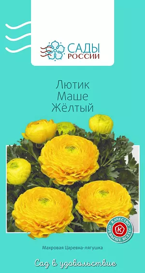Лютик Маше Жёлтый

Лютики (ранункулюсы) азиатские, или садовые, – удивительные, очаровательные цветы, напоминающие маленькие розочки или слегка распустившиеся пионы. Они восхищают многих садоводов-любителей и всё же остаются пока довольно редкими гостями на наших участках. Ранункулюсы разных окрасок и оттенков в период массового цветения образуют необыкновенное по красоте море цветов.
Перед посевом семена замочить в воде на 2–4 часа. Для субстрата подойдет чернозем, обогащенный торфом. Также необходим дренажный слой и хорошее освещение сеянцев. Плохо переносит пересадки. Полив каждые 2–3 дня. Зацветает на следующий год. Теплолюбив, рассаду высаживают в грунт после того, как минует угроза возвратных заморозков.