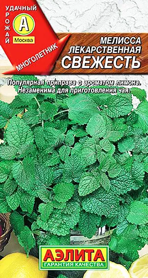 Семена Мелисса лекарственная Свежесть
