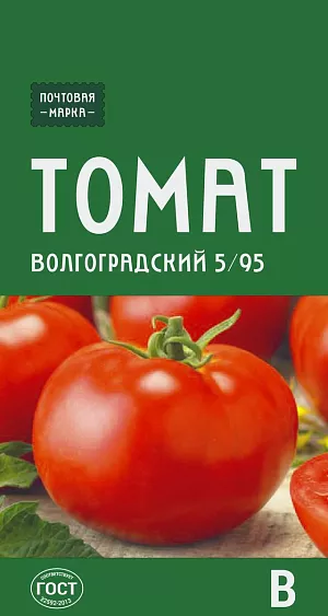 Семена Томат Волгоградский 5/95 Семена Томат Волгоградский 5/95