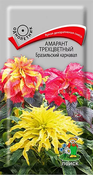 Семена Амарант трехцветный Бразильский карнавал из каталога Амарант Семена Амарант Бразильский карнавал трёхцветный.
Яркая декоративно-лиственная смесь! Симпатичный разноцветный кустик высотой около 50 см.
Листья удлиненно-яйцевидной формы трехцветные зелено-жёлтые, красно-бордовые, розово-бордовые.
Рекомендуется для одиночных и групповых посадок на газоне, заднего плана рабаток и миксбордеров.
Агротехника. Растение предпочитает легкие, питательные почвы. Хорошо растет на открытых солнечных местах.
Семена высевают в конце марта – начала апреля, глубина заделки семян 0,3 см.
При температуре +22…+25°C всходы появляются через 8-10 дней.
Пикируют в горшочки по одному. В открытый грунт высаживают в конце мая. Расстояние при посадке 35-50 см.