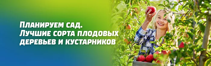 ЛУЧШИЕ СОРТА ПЛОДОВЫХ ДЕРЕВЬЕВ И КУСТАРНИКОВ ЛУЧШИЕ СОРТА ПЛОДОВЫХ ДЕРЕВЬЕВ И КУСТАРНИКОВ
