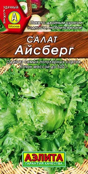 Салат Айсберг кочанный