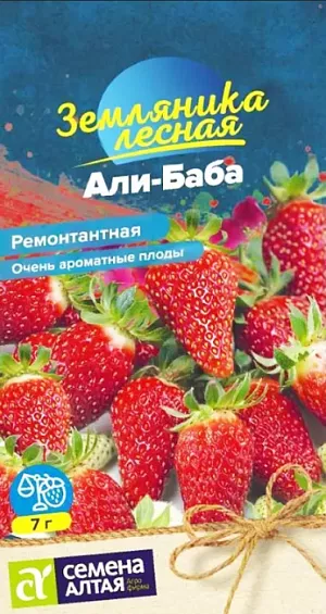 Семена Земляника (клубника) Али-баба ремонтантная