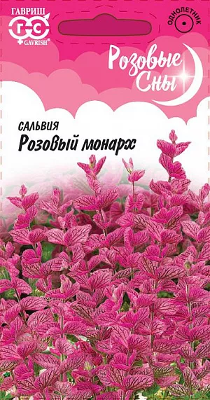 Семена Сальвия Розовый монарх.
Однолетнее, компактное растение высотой 70 см. Очень привлекательное благодаря ярко-розовым прицветным листьям, собранным в длинные (18-30 см) простые соцветия. Растение декоративно уже через месяц после посева. Цветет с середины июня до поздней осени, сохраняя свою декоративность. Плодоносит обильно, часто дает самосев. Предпочитает солнечные места и почвы без избытка органических удобрений. Посев производят в марте-начале апреля в рассадные ящики на глубину 0,5-0,8 см. Всходы появляются через 7-14 дней, после чего саженцы пикируют. В грунт рассаду высаживают, когда минует угроза весенних заморозков (25 мая - 15 июня). Расстояние между растениями 30-35 см. Сорт интересен для создания пейзажных композиций, монокультурных клумб и миксбордеров.