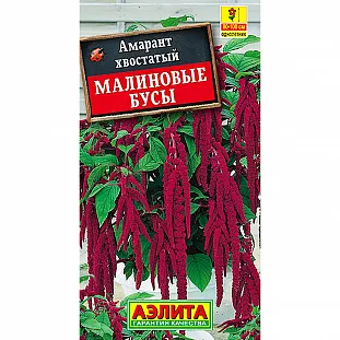 Амарант Малиновые бусы