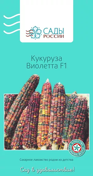 Кукуруза Виолетта F1 10шт Кукуруза Виолетта F1 10шт