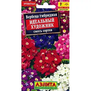Семена Вербена Идеальный художник смесь