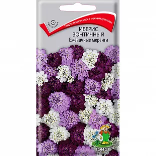 Иберис зонтичный Ежевичные меренги