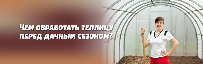 КАКИЕ СРЕДСТВА БОРЬБЫ ОТ ВРЕДИТЕЛЕЙ И ГРИБНЫХ БОЛЕЗНЕЙ И КАК ПРИМЕНЯЮТ В ТЕПЛИЦАХ В КОНЦЕ АПРЕЛЯ – НАЧАЛЕ МАЯ КАКИЕ СРЕДСТВА БОРЬБЫ ОТ ВРЕДИТЕЛЕЙ И ГРИБНЫХ БОЛЕЗНЕЙ И КАК ПРИМЕНЯЮТ В ТЕПЛИЦАХ В КОНЦЕ АПРЕЛЯ – НАЧАЛЕ МАЯ