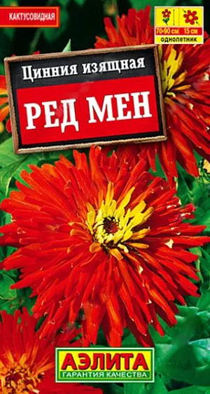 Семена Цинния кактусовидная Ред мен из каталога Цинния Семена Цинния кактусовидная Ред мен. Великолепный яркий сорт. Образует мощный куст высотой 70-90 см, с множеством крепких цветоносов. Соцветия густомахровые, кактусовидные, диаметром 13-15 см. Цветение раннее, обильное и продолжительное. Каждое соцветие на растении сохраняет декоративность до 35 дней. Растения используют для оформления цветников и на срезку.<br>
<br>
Циннии – растения теплолюбивые, быстрорастущие, относительно засухоустойчивые. Предпочитают солнечные участки с дренированными почвами среднего плодородия, нейтральной кислотности. В южных регионах возможен безрассадный способ выращивания.<br>