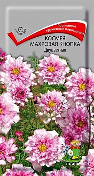 Космея Махровая кнопка Двуцветная (ЦВ) ("1) 0,1гр из каталога Космея Семена Космея Махровая кнопка Двуцветная. Декоративное растение с ажурными сильнорассеченными листьями, высотой около 80 см. Соцветия – махровые корзинки диаметром 7-10 см на крепких стеблях. Великолепно выглядят на клумбах и в бордюрах, особенно большими массивами. Прекрасный материал для срезки.<br>
<br>
Агротехника. Растение светолюбивое, холодостойкое. К почвам не требовательно, но лучше растет на легких почвах. Посев семян производят в апреле-мае непосредственно в открытый грунт. Для более раннего цветения возможен посев на рассаду в марте. Глубина заделки семян 1 см. При температуре почвы +18°C всходы появляются через 8-14 дней. Расстояние между растениями 30-35 см.<br>